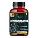 Humming Herbs Benfotiamine+ 600mg with Ashwagandha & Alpha Lipoic Acid - Antioxidant & Energy Support - Promotes Nerve Health & Metabolic Function - Nutraceutical Supplement (60 Caps)