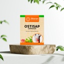 Sitaram Ayurveda Ostisap Tablets | Ayurvedic Bone Support Formula | Helps Strengthen Skeletal System, Joint Stability & Mobility | Natural Calcium Blend, Cissus & Ashwagandha | 60 Nos