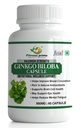 Ginkgo Biloba 800mg Capsules | Herbal Ginkgo Leaf Extract Supplement for Memory, Focus, Concentration & Cognitive Wellness | Antioxidant Support | 60 Vegetarian Capsules