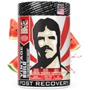 Vintage Build – Post Workout Erholung & Muskelaufbau Pulver trinken für Muskelkraft & Wachstum - Reduziert Soreness – Creatine Monohydrate, BCAAs, L-Glutamin – Juicy Watermelon Flavor – 388g