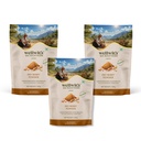 Wellwith Himalayan Sea Buckthorn Dry Berry Skin Powder(100gm.Pack of 3) | Rich in Omega |Vitamin C, Vitamin E | Dry Sea Buckthorn Berry Powder