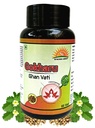 Sunchan Group Gokharu Ghan Vati Tribulus terrestris Gokharu Ghan Vati 60 Vati (Pack of 1)