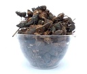 Korai Kilangu (Kizhangu) Roots/Nagarmotha/Cyperus Rotundus/Nagarmotha/नागरमोथा / Sedge Root/கோரை கிழங்கு- Raw material (100 g) - Dhanvant Herbal Shop