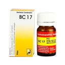 BC 17 Piles (Pack of 2)