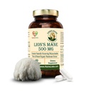Lion’s Mane Mushroom Extract 500 mg – Hericium erinaceus Standardized to Beta (1,3)(1,6)-Glucans | Brain Health, Memory & Focus Support | Nerve Growth Factor (NGF) Booster | 90 Vegetarian Capsules | Non-GMO, Gluten-Free