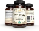 Bio Pituitary Blend - 60 Vegan Kapseln in einer Glasflasche - für maximale Hypophyse Unterstützung - von Khroma Kräuter