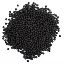 Satyanshi Katali Beej | Ayurvedic Herb Seeds | 100% Pure & Natural – II 100gram