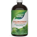 Nature's Way Chlorofresh, Liquid Chlorophyll, unterstützt gesunde Haut & Körper Detox*, Interne Deodorant-Ergänzung*, unterstützt Leberentgiftungswege*, Mint Flavored, 16 Fl. Oz