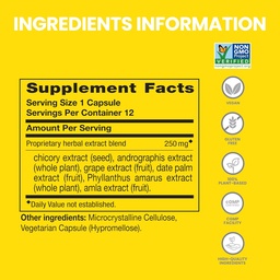 Himalaya PartySmart, 12 Kapsel Tube - Alkohol Breakdown Liver Unterstützung für einen besseren Morgen nach dem Trinken - Pflanzenbasiert, Vegan, Non-GMO, Glutenfrei, Klinisch untersucht (Pack von 2)