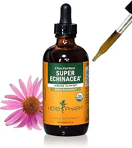Estratto di liquido Super Echinacea organico certificato di Herb Pharm per il supporto attivo del sistema immunitario - 4 Oz