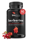 Berberine Advanced Plus mit 1200mg Berberine - 100mg Ceylon Cinnamon und 100mg Green Tea Extract - 1400mg pro Dose -120 Kapseln - 60 Tage Versorgung - Unterstützt Immun- und Herz-Kreislauf