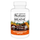 Host Defense Breathe* Kapseln - Immun- & Respiratorische Unterstützung Pilzergänzung - Kräuter Lung Health Supplement mit Chaga, Reishi & Cordyceps - 120 Kapseln (60 Servietten)*