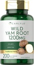 Carlyle Wild Yam Root Capsules | 200 Count | Non-GMO, Gluten Free | Traditionelle Kräuterextrakt