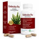 Endocalyx Pro Supplement – Endothelial Glycocalyx Support 120 Kapseln - Vascular & Microcirculation Health – Klinisch-Studied – Patentiert – Unterstützt Nitric Oxide Funktionen