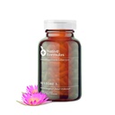 Native Formulas Restore 3 Proteolytic Enzyme & Spore Probiotic Blend Supplement - 60 Kapseln - Advanced Biofilm Disruption Aid - Unterstützung GI Health, Fibromyalgia, Gut Flora, Muscle