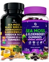 Sea Moss Kapseln + Gummis Bundle, 60 Irish Sea Moss Gummis + 120 Ocean Wild SeaMoss Kapseln mit Vitaminen und Mineralien