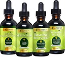 Go Nährstoffe Kalt & Immun Bundle - Selen, Vitamin D3/K2, Immun Booster, Flüssiger Chlorophyll - Leistungsstarke Unterstützung für Immunsystem, Stärkung der Körperverteidigung, Kern und Vitalität, Verstärkungsrespirator