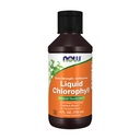 JETZT Ergänzungen, extra Stärke Flüssigkeit Chlorophyll, entflammt, interner Deodorizer*, fördert Sauber