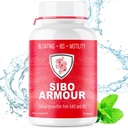 SIBO | IBS Relief (Clinical Grade Treatment) Bloating, Durchfall, Leaky Gut, Gas | Delayed Release Peppermint | Supplement Effective on Irritable Bowel Syndrom & Small Intestine Bacteria Overgrowth