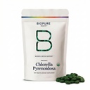 BioPure Chlorella Pyrenoidosa – 100% Bio, Cracked-Cell Wall, Nutraceutical Superfood verpackt mit Proteinen, Vitaminen, Mineralien und Aminosäuren, die Stoffwechsel, Detox & Immunität unterstützen – 400 Tabletten
