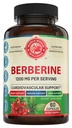 1200mg Berberine Kräuter-Gesundheit Kapseln unterstützen Herz und Herz-Kreislauf-Gesundheit, Helfen Sie gesunde Cholesterin, Triglycerid, Blutzucker-Level, unterstützt Verdauung, Boosts Metabolismus, 60 Kapseln