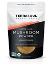 Terrasoul Superfoods Bio Lion's Mane Mushroom Powder (4:1 Extrakt), 5.5 Unzen