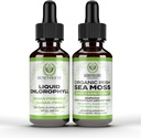 Benevolent Chlorophyll Flüssigkeitstropfen + Irish Sea Moss Tropfen 2oz, 4 Monate Versorgung Flüssige Chlorophyll Ergänzung für Interne Deodorizer & Radiant Haut