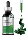 Horbäach flüssige Chlorophyll Tropfen | 2 oz | Vegan, Non-GMO, und Glutenfreie Formel | Natürliche Pfefferminz Geschmack