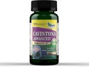 Amerika Medic & Science Cavintona Advanced Supplement – Vinpocetine 20mg für Gedächtnis, Recall & Brain Health – Unterstützt kognitive Funktion, Fokus, Psychische Klarheit & Blutfluss – 60 Kapseln