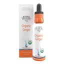 Buried Treasure Ginger Drops - Made with Organic Ginger Root for Digestive Support, Upset Stomach Settle Drops, No Sugar, Alcohol Free, Vielfältige Verwendung für Ginger Tea oder Direktverbrauch, 30 Servierungen