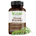 B’Leaf Nature Chanca Piedra Stone Breaker, 100 Kapseln, 1000mg – Traditionelle Kräuter Nierenunterstützung – Non-GMO, Vegan, Glutenfreies Urinary Tract & Liver Wellness