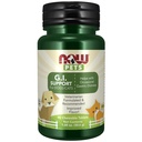 JETZT Pet Health, G.I. Support Supplement, Formuliert für Katzen & Hunde, NASC Certified, 90 Chewable Tablets