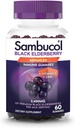 Sambucol Black Elderberry Gummies - Elderberry mit Zink und Vitamin C für Erwachsene, Sambucus Gummies, Immununterstützung - 60 Count