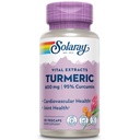 SOLARAY Turmeric Supplement 600mg - Turmeric Root mit 95% Curcumin - Joint Support Supplement - Joint Health, Gallbladder und Liver Support, Non-GMO, Vegan, Gluten Free, 60-Day Garantie, 30 Servietten