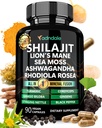 Adndale Shilajit Supplement. Pure Himalayan Organic Shilajit für Männer und Frauen Kapseln mit Sea Moss Ashwagandha Rhodiola Rosea Lion’s Mane. 90 Count