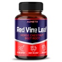 Rote Vine Blatt-Ergänzung mit Rosskastanie, Beetroot, Ginger - Natürliche Unterstützung für Erzstärke und Zirkulation Wellness- Made in The USA (90 Count (Pack of 1))