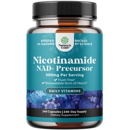 Vitamin B3 Niacinamid 500mg Kapseln - Mitochondriale Energie und potente Hautergänzung - AKA Vitamin B3 Niacin 500mg Flush Free und Nicotinamid 500mg - Flush Free Niacin Supplement - 240 Count