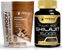 WELLNESS LABSRX Pilzpulver 2000mg - Shilajit Pure Himalayan 15.000mg Kapseln