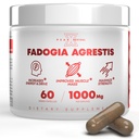 Fadogia Agrestis 1000mg pro Servierergänzung - Potent Extract zu erhöhen Energie, sportliche Leistung & Muskelmasse - Ergänzungen, Made in USA (60 Kapseln)
