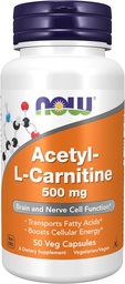 JETZT Nahrungsergänzungsmittel, Acetyl-L Carnitin 500 mg, Aminosäure, Gehirn und Nervenzellfunktion*, 50 Veg Kapseln