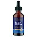 Rx Vitamins Amino B Plex Cat & Dog Supplement - Vitamin B Complex Liquid Plus Aminosäuren für Hunde & Katzen - Appetite Booster und Gewicht Gainer Katze & Hunde Vitamine - 2 oz