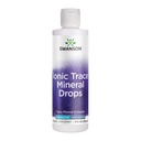 Swanson Concentrace Trace Mineral Drops 8oz-Complete Mineral Complex für Energie, Hydration, & Elektrolyt Balance über 72 hoch absorbierende ionische Mineralien wie Magnesium, Kalium, Calcium (2 Pack)