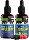 Organic Elderberry Syrup, 60-Tage-Versorgung, schwarze Flüssigkeitstropfen für Immununterstützung, Sambucus Elderberry Syrup - Flüssige Extrakt Tropfen für Kinder & Erwachsene - Extra Strength (2 Pack)