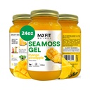 MAX FIT Sea Moss Gel Raw (12 Flavors) 24oz Wildсrafted Gold Sea Moss Gel von Saint Lucia | 92 Vitamine und Mineralien | Pure Raw+Non-GMO | Vegan Superfood