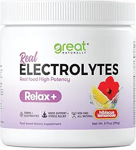Entspannen Sie sich! Hibiscus Lemonade Calming Elektrolyt Ergänzung: Hydration & Mood Unterstützung für Entspannung, Stressentlastung, Adrenal & Cortisol Unterstützung – Glycine, L-Theanine, Zitronenbalsam – USA hergestellt