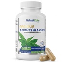 Natural Cure Labs Premium Andrographis Paniculata Extract 1.200mg mit 100mg Andrographolides Vegan Kapseln für Immun- und Verdauungsunterstützung, Non-GMO, Glutenfrei, pflanzliche Nahrungsergänzung