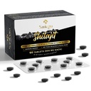 30.000 MG Shilajit Tablets, 100% Shilajit Pure Tablets für Frauen & Männer, Himalaya Organic, Fulvic Acid & 85+ Trace Minerals, Harzergänzung für Energie und Immunsystem, 60 Zähler