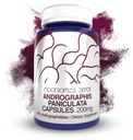 Andrographis paniculata Kapseln | 200mg | 60 Count | 50% Andrographolides | Unterstützt Immunfunktion | Unterstützt Cellular Function