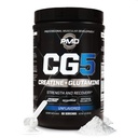 PMD Sport CG5 Premium Creatine & L Glutamine Pulver, Energierückgewinnung, Lean Muscle bauen, Workout-Leistung erhöhen, maximale Stärke Pre Workout & Post Workout, Unflavored, 60 Portionen