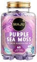 MAJU's Powerful Purple Sea Moss Capsules (60 ct), Extra-Strength Purple Minerals, Chondrus Crispus, Stronger Than Gel, Vergleich zu Organic Irish Seamoss Capsule, Wild Harvested Powder Pills